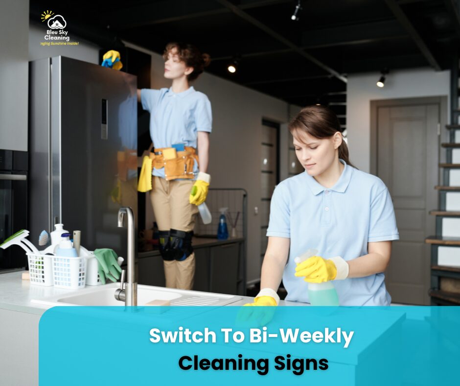 bi weekly cleaning service